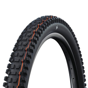 SCHWALBE Albert Tire - 29 x 2.50, Tubeless, Folding, Black, Evolution Line, Gravity Pro, Addix Soft, Radial, E-50