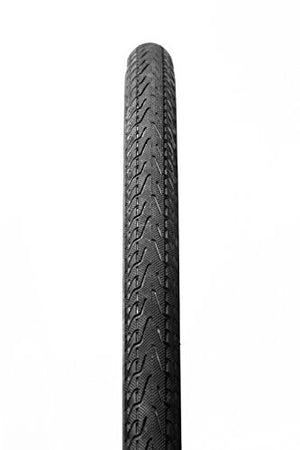 Panaracer Pasela ProTite Folding Tire