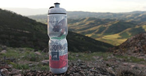 Polar Insulated Water Bottle: 24oz, Red