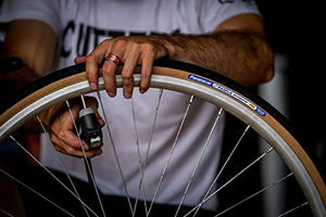 Panaracer Pasela ProTite Folding Tire