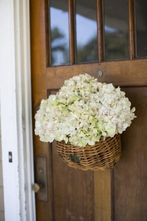 Nantucket Bike Basket Co. Cisco Adult Rectangle Basket