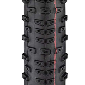 SCHWALBE - Racing Ralph XC Race Tubeless Folding Rear Wheel Bike Tire | Multiple Sizes | Evolution Line, Snakeskin, Addix SpeedGrip| Black