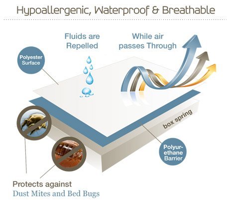 SafeRest Premium Low Profile Box Spring Encasement - Waterproof - Breathable, Noiseless and Vinyl Free - 5.5"