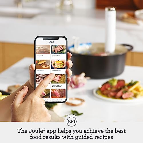 Breville Bsv600Pss Stainless Steel Sous Vide Machine