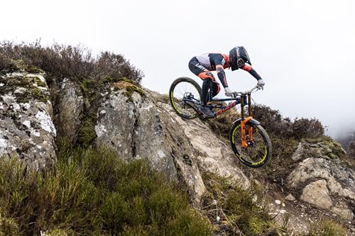 Downhill Soft 29" Tire by Continental