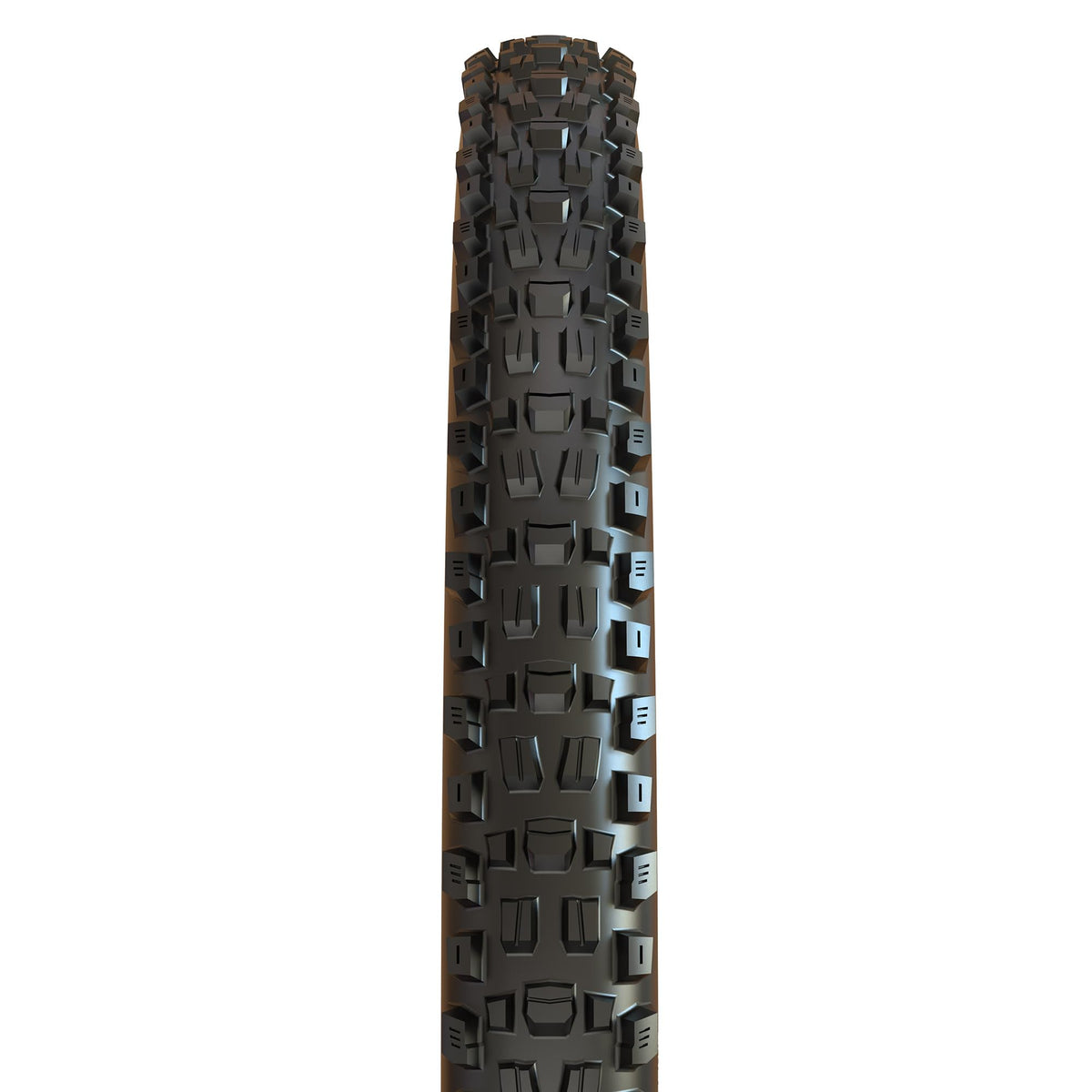 Maxxis Assegai - Dual Compound - 29, 27.5 - EXO - E25 Rating, Tubeless | Supreme Braking and Cornering Traction