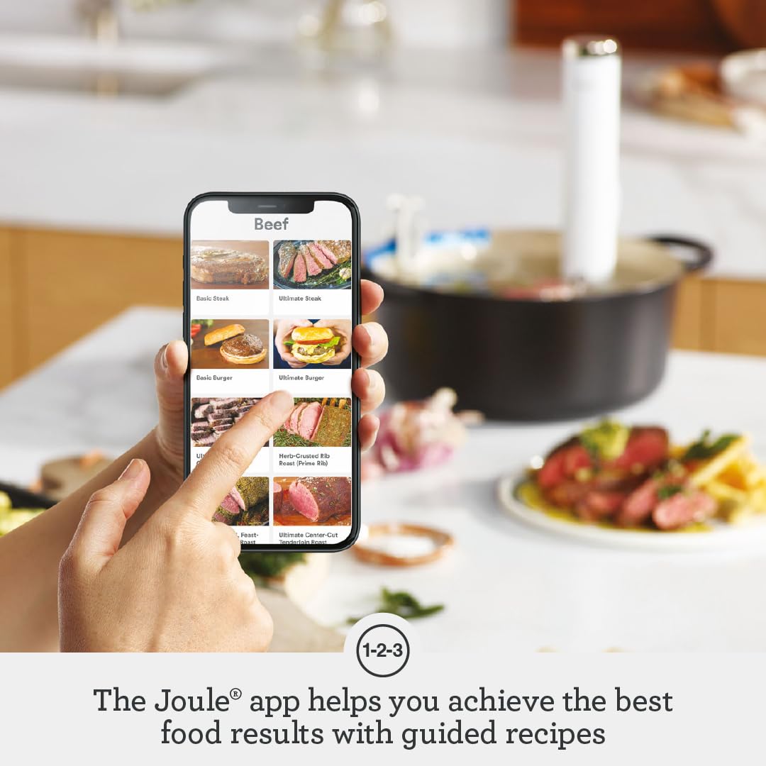 Breville Bsv600Pss Stainless Steel Sous Vide Machine