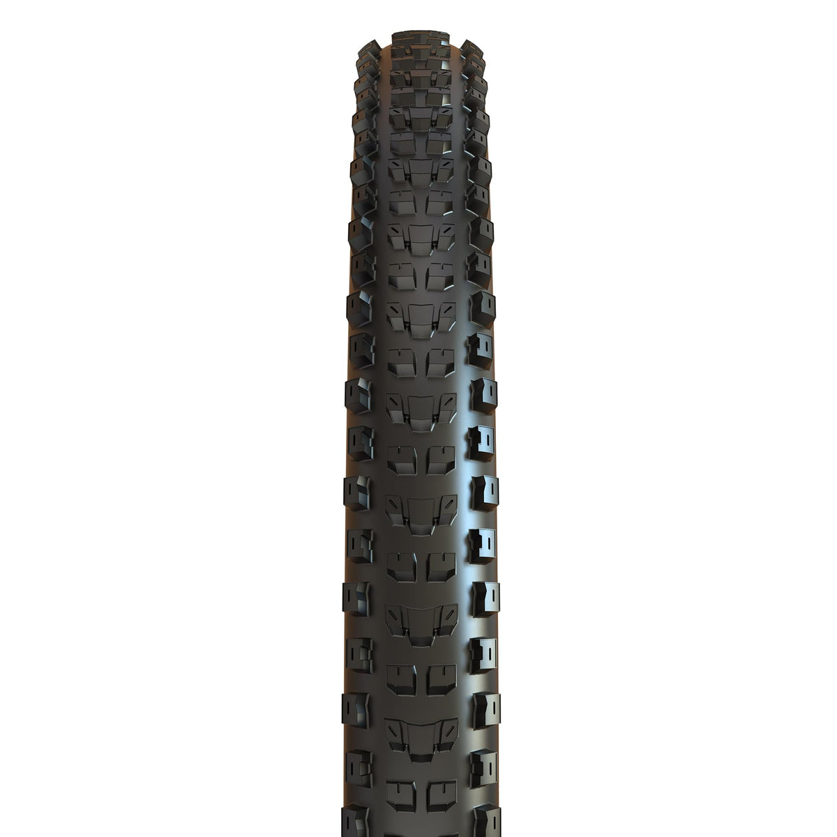 Maxxis Dissector - 3C MaxxTerra - 29, 27.5 - EXO, EXO+, DD - E25 Rating, Tubeless | Troy Brosnan’s Signature Model