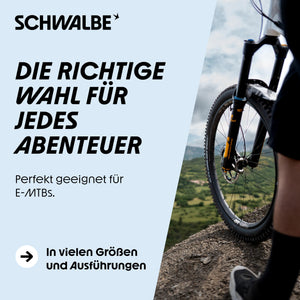 SCHWALBE Albert Tire - 29 x 2.50, Tubeless, Folding, Black, Evolution Line, Gravity Pro, Addix Soft, Radial, E-50