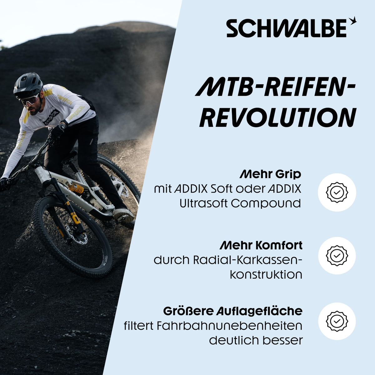 SCHWALBE Albert Tire - 29 x 2.50, Tubeless, Folding, Black, Evolution Line, Gravity Pro, Addix Soft, Radial, E-50