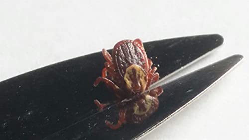 Protick Remedy Tick Removal Tool for Dogs Cats Horses People and Pets - Includes 5X Magnifier Tick ID Card