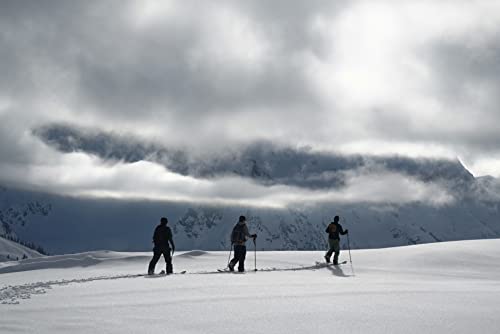 Spark R&D 21/22 Arc Bindings - Men's