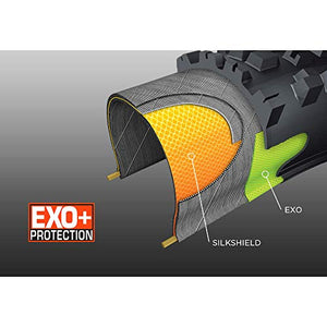 MAXXIS Assegai 3C MaxxTerra EXO+ Tubeless Ready Folding Tire
