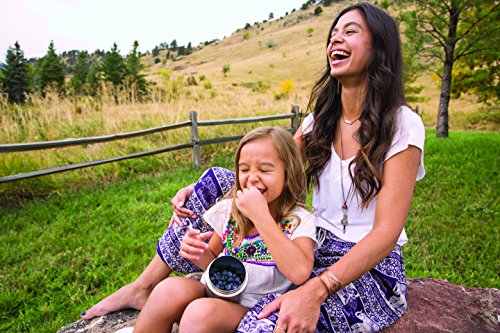 Klean Kanteen Single Wall Stainless Steel Food Canister Container with Leak Proof Stainless Steel Interior Lid