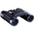 Bushnell H2O 10 X25 Mm Roof Prism Compact Binoculars Black